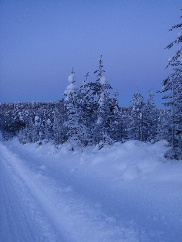 018 Sininen hetki.jpg